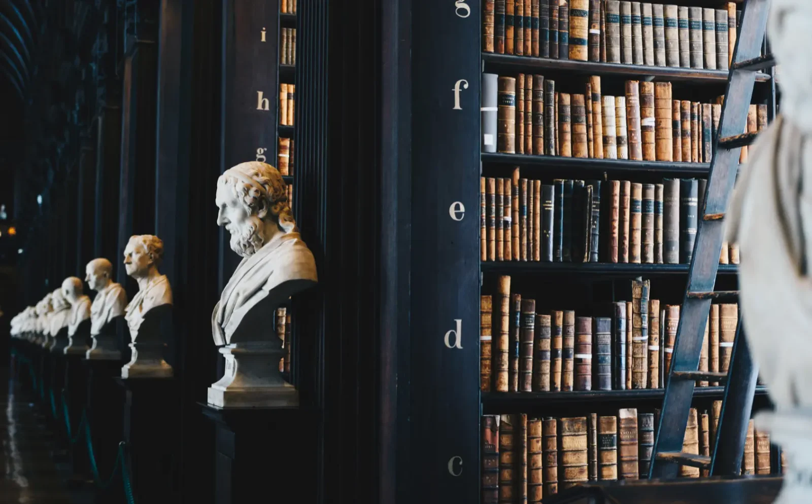 giammarco-boscaro-zeH-ljawHtg-unsplash-1